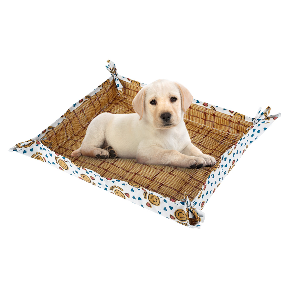 Summer Cooling Mat Sleeping Pad Pet Cool Bed Non Stick Cats Litter Kennel Mat Washable Puppy