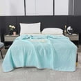 thumbnail image 1 of Summer Cooling Quilt - Double Size 60x79 Inches, All-Season Soft Polyester Bedding, Lightweight & Breathable - Blue/Navy/Green/Mint/Gray/Watermelon Red Options, 1 of 9
