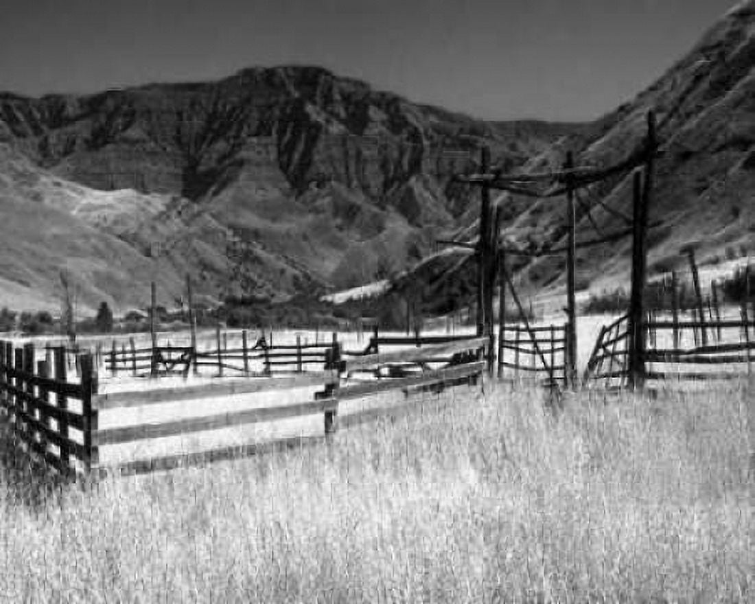 Summer Corral I Canvas Art - Scott Larson (20 x 24)
