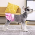 Summer Daisies Dog Female Washable Dog Highly Absorbent Puppy