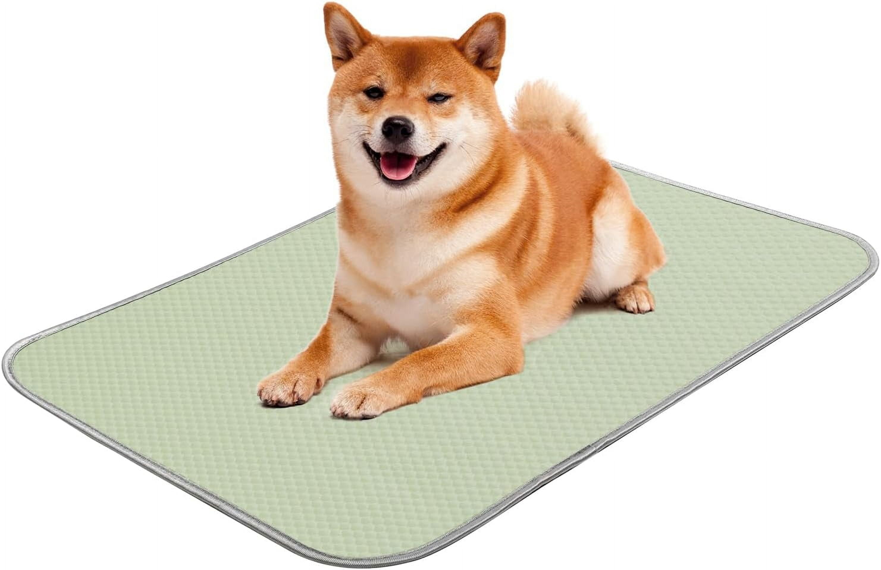 Photo inspiration: Visual Reference: Summer Dog Cooling Mat Washable Ice Silk Self Cool Pad