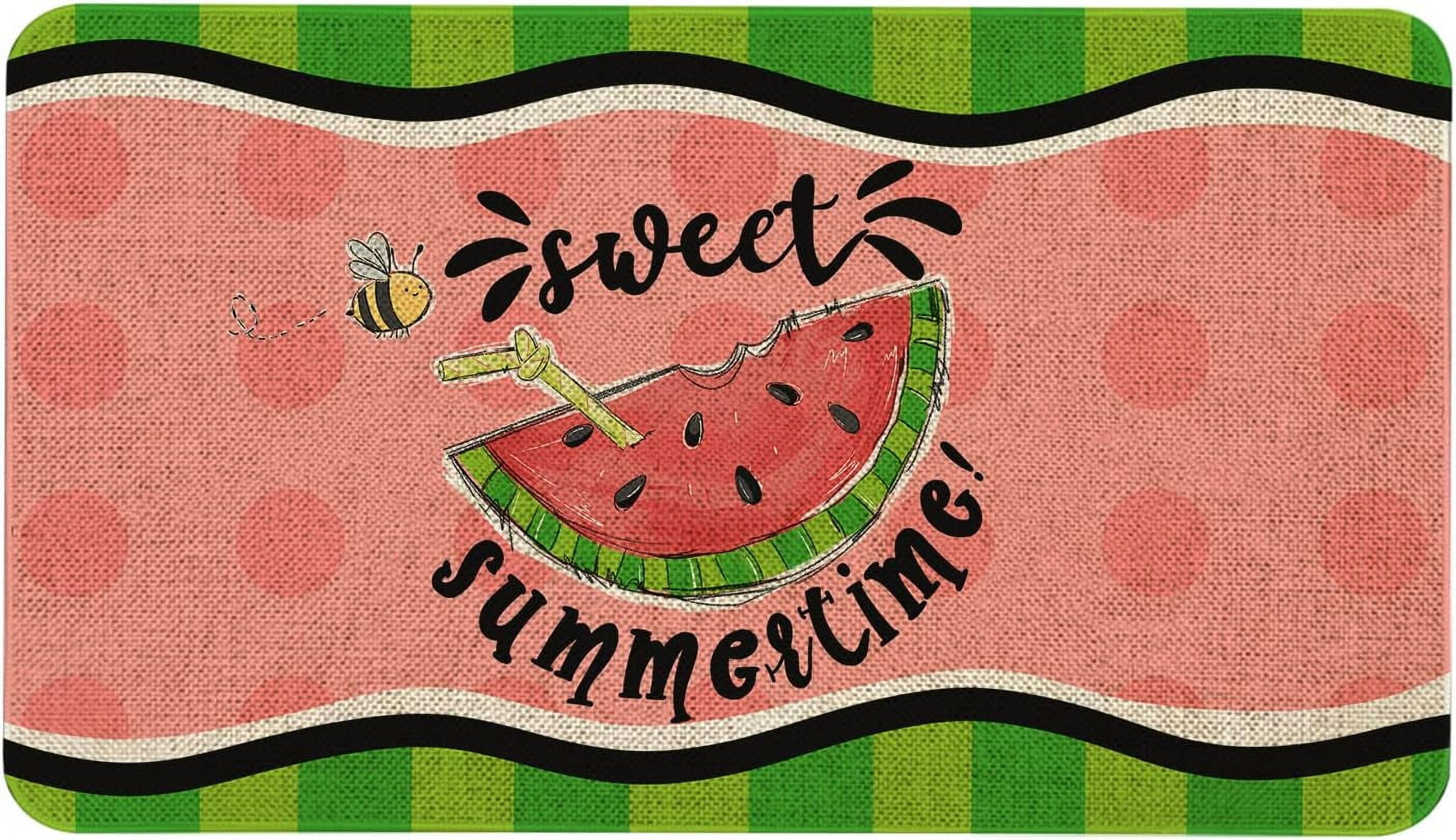 Summer Door Mat 30 X 17 Inch Sweet Summer Time Watermelon Doormat Indoor Outdoor Entrance Floor Mat Non Slip Summer Decor Rubber Welcome Mats