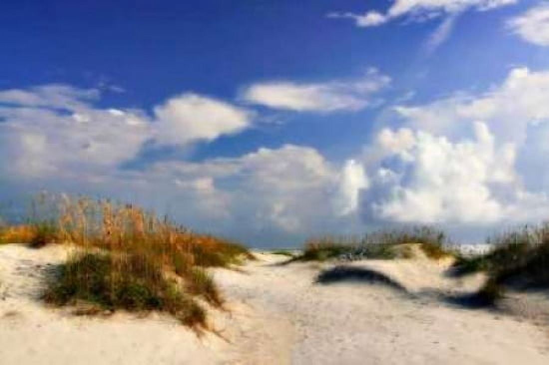 Summer Dunes II Canvas Art - Alan Hausenflock (20 x 28)