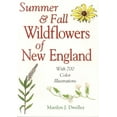 thumbnail image 1 of Summer &amp; Fall Wildflowers of New England, (Paperback), 1 of 1