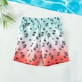 thumbnail image 1 of Summer Fashion Savings AXXD 5-13 Years Sun Beach Pants Boys' Swimming Trunks Beach Athletic Shorts Seaside Vacations, 1 of 6