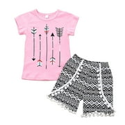 Summer Feather Printed Pink Short Sleeve T-Shirt Geometric Pattern Ball Shorts Toddler Girls Suit Kids Child Clothing Streetwear Dailywear Outwear