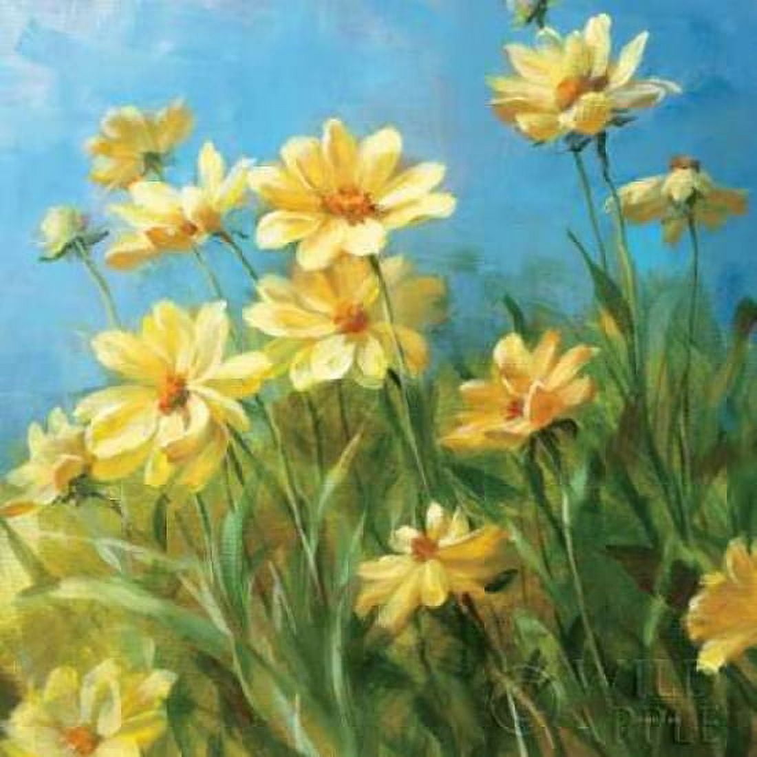 Summer Field I Canvas Art - Danhui Nai (24 x 24)