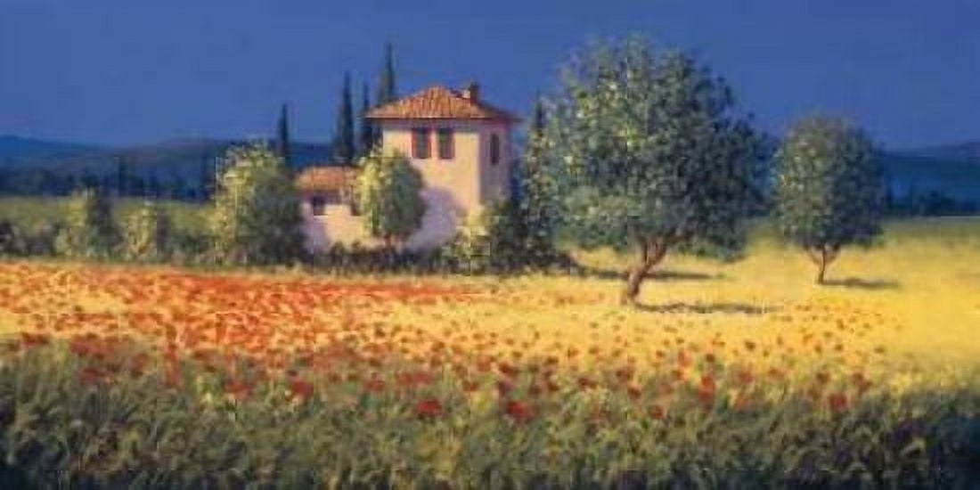 Summer Field I Canvas Art - David Short (10 x 20)