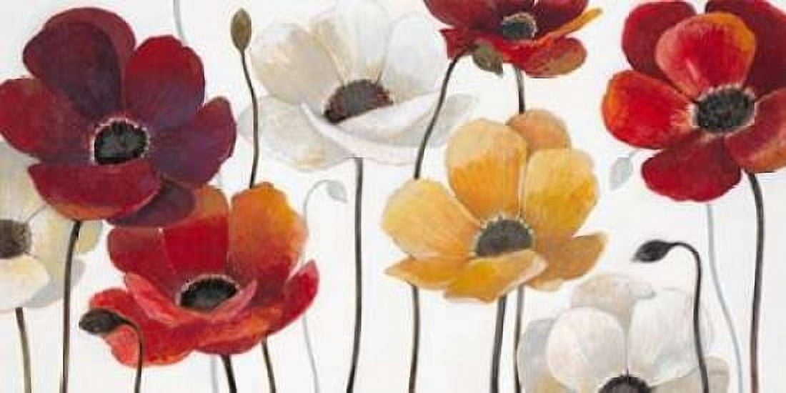 Summer Fields Canvas Art - Norman Jr Wyatt (10 x 20)