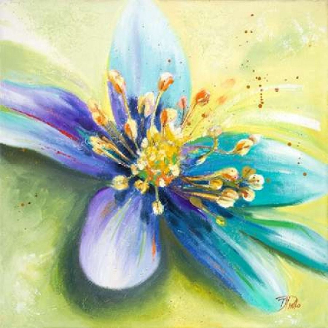 Summer Flowers I Canvas Art - Patricia Pinto (24 x 24)