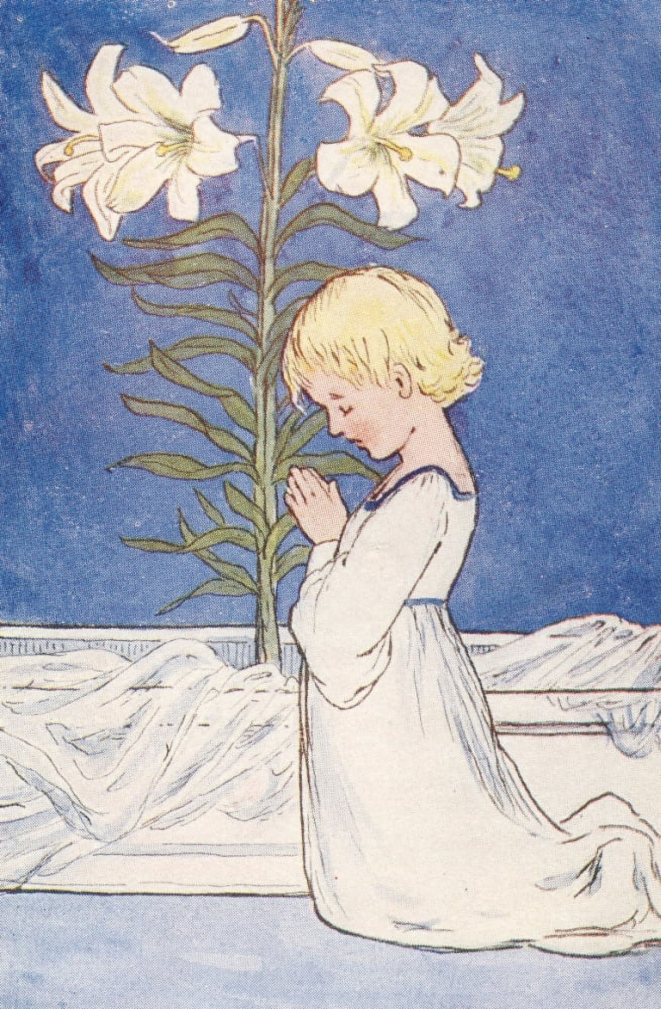 Summer Flowers c1910 Madonna Lily Canvas Art - Eleanor S March (18 x 24)