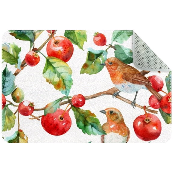 Summer Forest Fruits Plants Berries Birds Entryway Rug, 2x3 Area Rug Indoor Door Mat Non-slip Washable Floor Carpet Rug for Bedroom Office Dining Room Bathroom