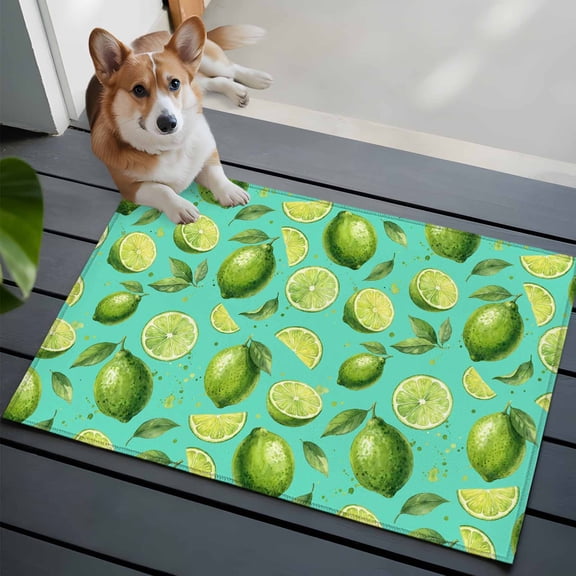 Summer Fruit 2x3 Area Rugs for Living Room, Watercolor Green Lemon Lime Slice Leaf Rustic Teal Non Slip Floor Mat Washable Low-Profile Indoor Carpet for Bedroom, Dining Room, Bathroom