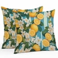 thumbnail image 1 of Summer Fruit Outdoor Pillow Covers Set of 2 Lemon White Flowers Leaf Blue Stripes Vintage Waterproof Throw Pillow Case Decorative Square Cushion Cover for Patio Couch Garden Balcony, 16"x16", 1 of 9