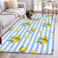 thumbnail image 1 of Summer Fruit Washable Area Rugs 3'x5', Watercolor Yellow Lemon Rustic Flower Blue Stripes Low Pile Throw Living Room Rug Non-Slip Sturdy Edge Binding Carpet for Indoor Entryway Bedside Kitchen, 1 of 9