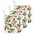 thumbnail image 1 of Summer Fruits Pot Holders for Kitchen Heatproof Potholder, 3 Pack Spring Orange Peach Green Botanical Hot Pads Multipurpose Oven Pads Cloth Potholders Trivet for Cooking Baking, 1 of 8