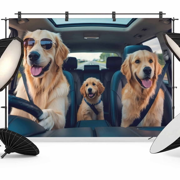 Summer Funny Backdrop for Photoshoot, Photography Photo Studio Background Wall Backdrop, Modern Driving Dog Print Back Drop Banner Panel for Portraits Wedding Party Live Streaming Decor 7x5Ft
