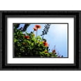 thumbnail image 1 of Summer Garden II 2x Matted 24x18 Black Ornate Framed Art Print by Hausenflock, Alan, 1 of 2