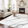 thumbnail image 1 of Summer Gary Marble Large Area Rugs 6x9 ft Modern Simple Line Theme Washable Rug Non Slip Indoor Carpet Absorbent Floor Mat for Living Room Bedroom Dining Room, 1 of 9