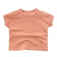 thumbnail image 1 of Summer Girls Casual All-match Korean Solid Color Short-sleeved Top, 1 of 5
