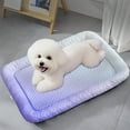 thumbnail image 1 of Summer Ice Nest Cooling Mat for Cats and Dogs, 3D Cool Sensation Ice Bean Pad, Breathable Pet Mat for Home, Pet Supplies, 1 of 6