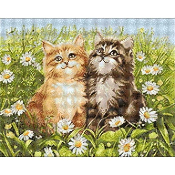 Diamond Art Summer Kittens 50—Ö40 Cs209 - Diamond Painting Kit