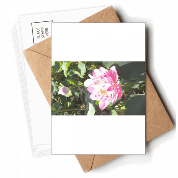 Summer Lake Lotus Art Deco Fashion Postcards Envelopes Blank Note Cards Mailing