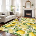 thumbnail image 1 of Summer Lemon Flower Area Rugs 5x7 ft Country Watercolor White Floral Yellow Plaid Washable Rug Non Slip Indoor Carpet Absorbent Floor Mat for Living Room Bedroom Dining Room, 1 of 9