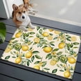 thumbnail image 1 of Summer Lemon Front Door Rugs 2x3 ft Yellow Flower Leaves Beige Small Rug for Entryway Non Slip Washable Bathroom Door Mat Absorbent Floor Mat for Indoor Entrance, 1 of 9
