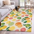 thumbnail image 1 of Summer Lemon Orange Area Rugs 3'x5', Washable Small Throw Rugs for Living Room Bedroom, Farmhouse Tropical Fruit Rustic Indoor Outdoor Rug Non-Slip Low Pile Carpet Runner Reversible Floor Mats, 1 of 8