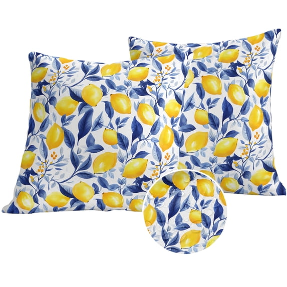 Summer Lemon Outdoor Pillow Covers 20x20 Set of 2,Waterproof Patio Throw Pillowcase Protectors,Watercolor Yellow Blue Garden Floral Decorative Pillow Shams Cushion Covers for Seat Bed Couch Sofa