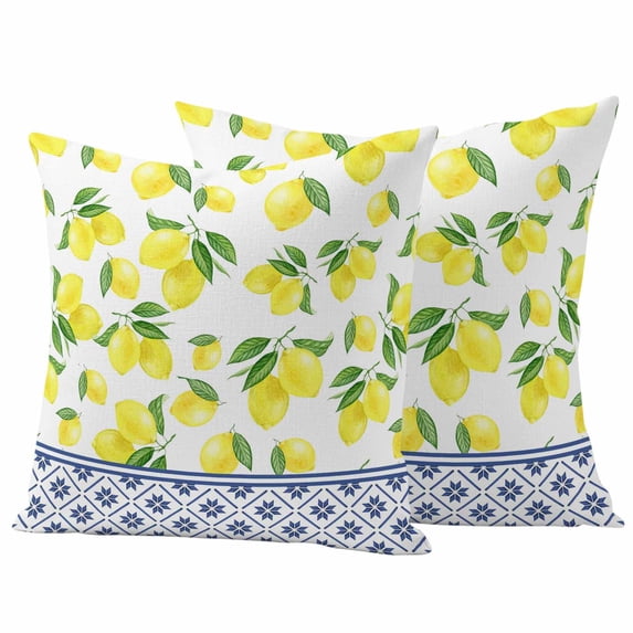 Summer Lemon Outdoor Pillow Covers Pack of 2 Watercolor Fruit Farmhouse Blue Flroal Waterproof Throw Pillow Covers Decorative Cushion Cases for Patio Garden Tent Balcony Couch 20x20 inch
