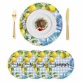 thumbnail image 1 of Summer Lemon Round 13 Inch Placemats Set of 4, Coastal Starfish Shells Pastoral Floral Blue Plaid HeatResistant Non Slip Place Mats for Dining Table, Wipeable Kitchen Table Mats for Housewarming, 1 of 9