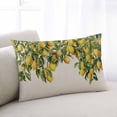thumbnail image 1 of Summer Lemon Throw Pillow Covers, Green Botancial Summer Yellow Fruits Rustic Soft Breathable Pillow Cases with Invisible Zipper for Sleeping, Body Pillowcases for Couch Bed Sofa Chair 24x36 Inches, 1 of 6