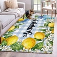 thumbnail image 1 of Summer Lemon Washable Area Rugs 4'x6', Oceans Blue Shells Starfish Flower Blue Plaid Low Pile Throw Living Room Rug Non-Slip Sturdy Edge Binding Carpet for Indoor Entryway Bedside Kitchen, 1 of 9
