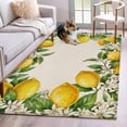 thumbnail image 1 of Summer Lemons Area Rugs 2.7'x5', Washable Small Throw Rugs for Kitchen Bedroom, Fruits White Flowers Vintage Rustic Indoor Outdoor Rug Non-Slip Low Pile Carpet Runner Reversible Floor Mats, 1 of 8