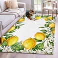 thumbnail image 1 of Summer Lemons Area Rugs 3'x5', Washable Small Throw Rugs for Living Room Bedroom, Fruits White Flowers Farmhouse Country Indoor Outdoor Rug Non-Slip Low Pile Carpet Runner Reversible Floor Mats, 1 of 8