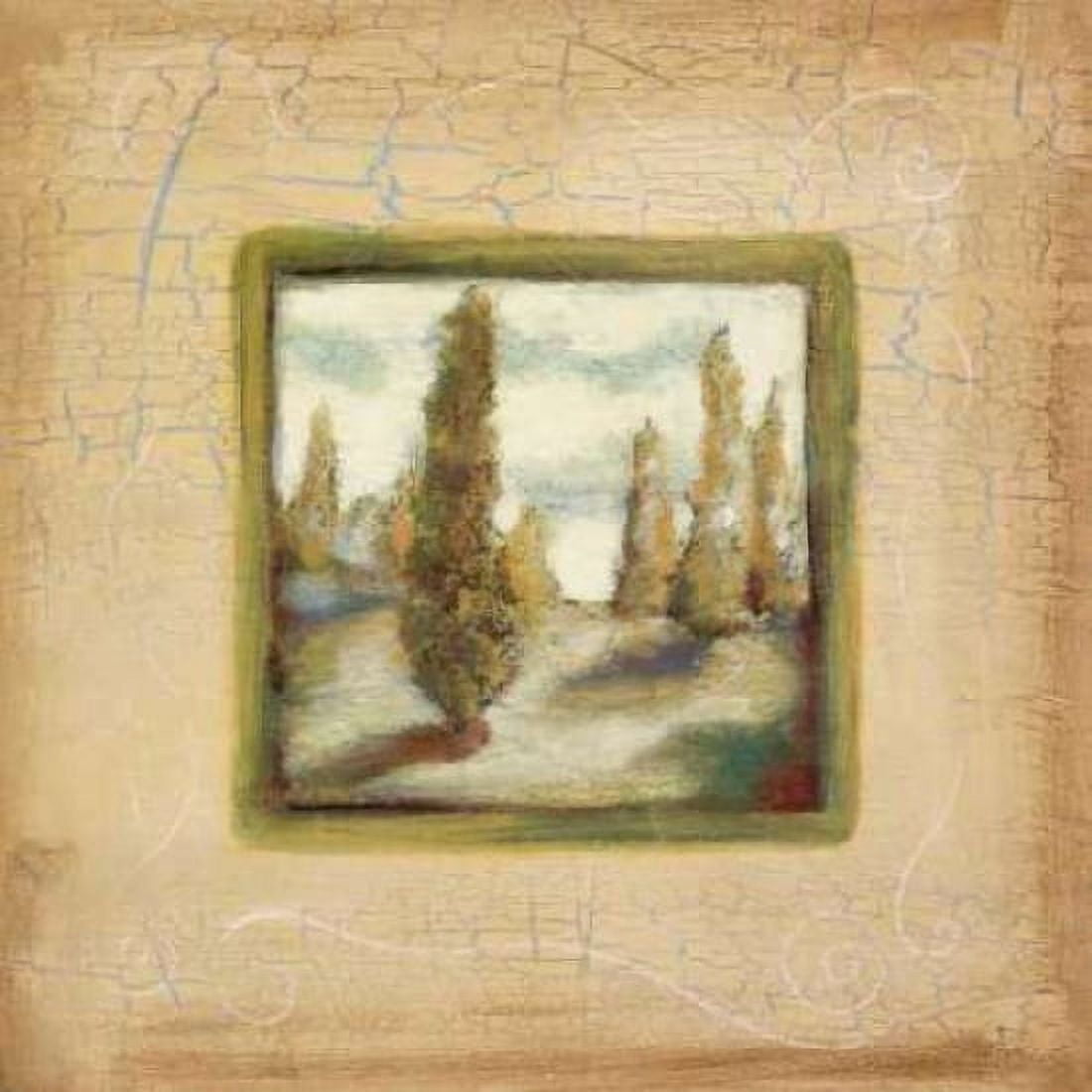 Summer Light I Canvas Art - Susan Osborne (24 x 24)