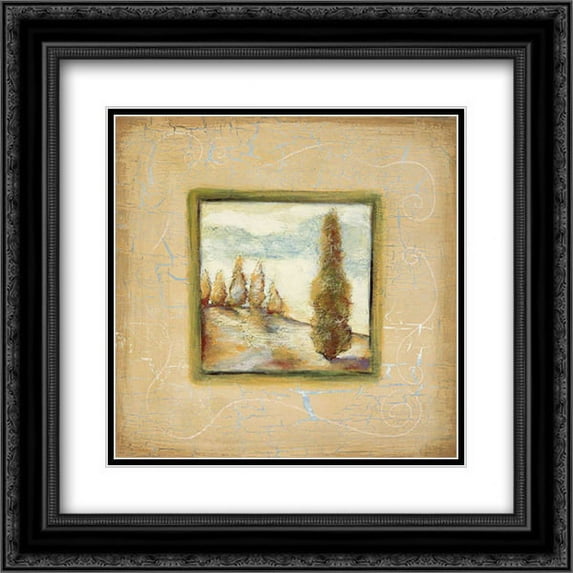 Summer Light II 2x Matted 20x20 Black Ornate Framed Art Print by Osborne, Susan