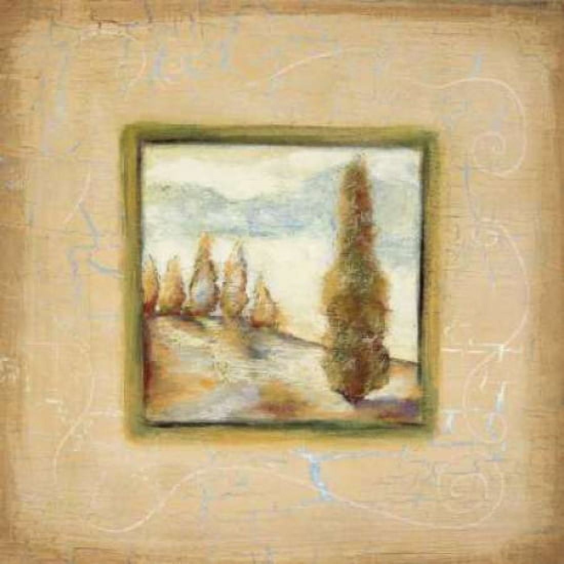 Summer Light II Canvas Art - Susan Osborne (24 x 24)