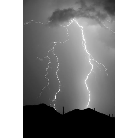 Art.com Summer Lightning BW Photo by Douglas Taylor, 24" x 36"