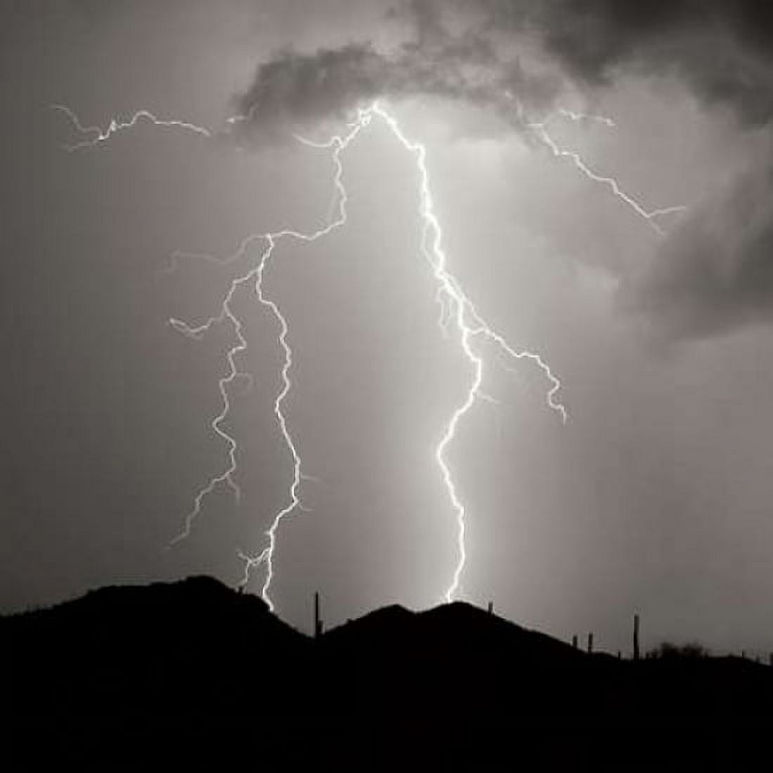 Summer Lightning I - BW Canvas Art - Douglas Taylor (24 x 24)