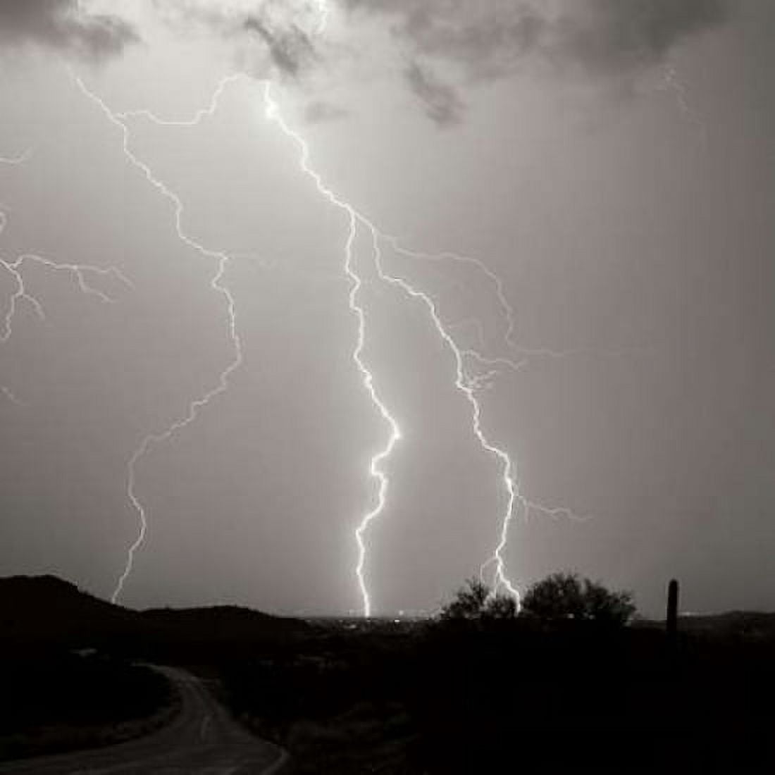 Summer Lightning II - BW Canvas Art - Douglas Taylor (24 x 24)