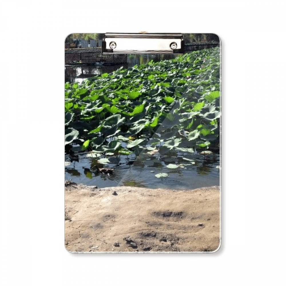 Summer Lotus Lake Clipboard Folder Writing Pad Backing Plate A4