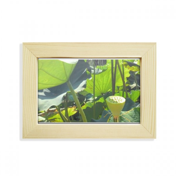 Summer Lotus Pond Root Art Deco Fashion Desktop Decorate Photo Frame Picture Art Painting 5x7 inch