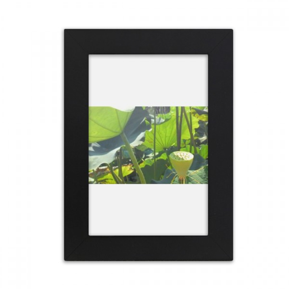 Summer Lotus Pond Root Art Deco Fashion Desktop Photo Frame Picture Display Art Painting Exhibit