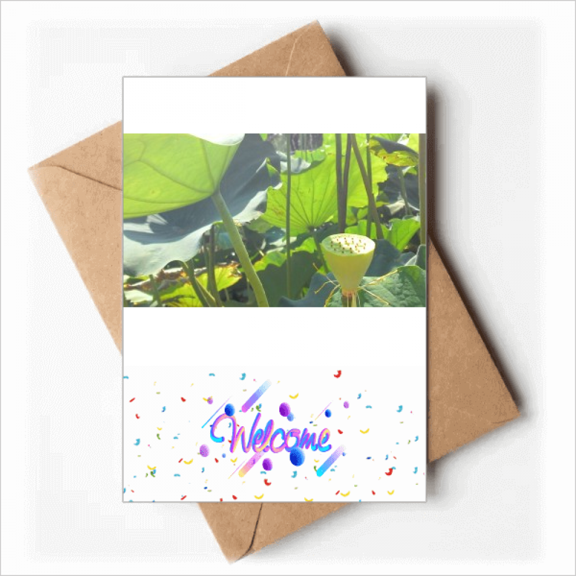 Summer Lotus Pond Root Art Deco Fashion Welcome Back Greeting Cards Envelopes Blank
