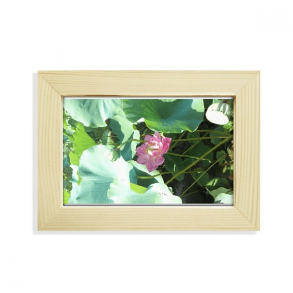 Summer Lotus Pool Lake Art Deco Fashion Desktop Decorate Photo Frame Picture Art Painting 5x7 inch