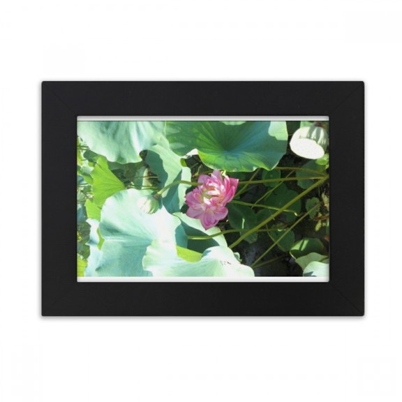 Summer Lotus Pool Lake Art Deco Fashion Desktop Photo Frame Ornaments Picture Art Painting