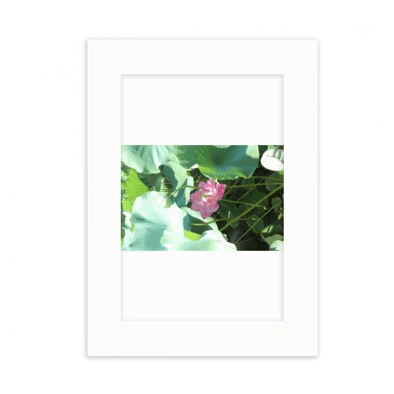 Summer Lotus Pool Lake Art Deco Fashion Desktop Photo Frame Picture Display Decoration Art Painting